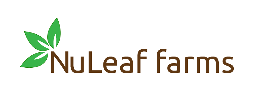 freelance logo design20