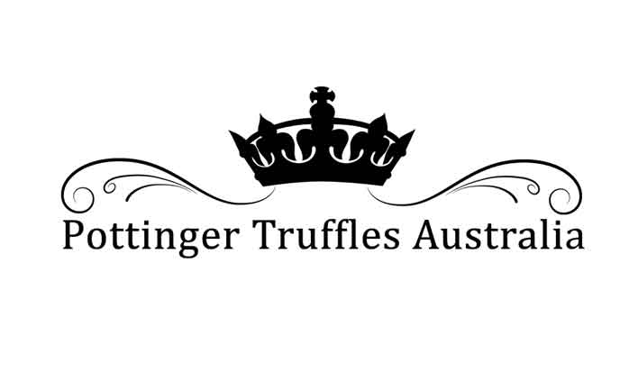 freelance logo design27