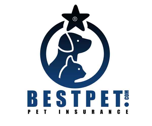 freelance logo design4