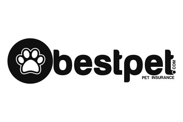 freelance logo design5